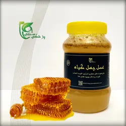 عسل چهل گیاه ارگانیک ۱۰۰۰ گرمی &raquo; پزشکی سنتی