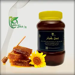 عسل کنار ارگانیک ۱۰۰۰ گرمی &raquo; پزشکی سنتی