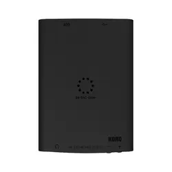 کارت صدا Korg DS DAC 100M