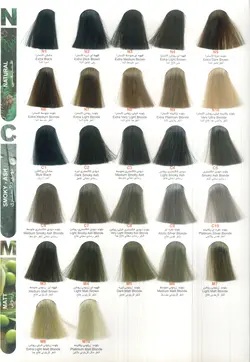 رنگ مو 121 شنی ماسه ای شماره S7 حجم 100 میلی لیتر