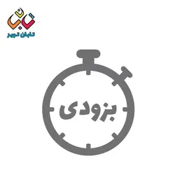 چرخ عصا گلریز P502 پرشین (54)