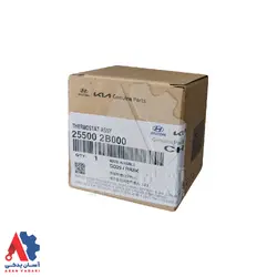 ترموستات هیوندای اکسنت /255002B000