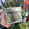 پک اورجینال دو ‏عددی شامپو و ماسک کراتینه بدون سولفات بیورلی beaverly - فرشته زیبایی