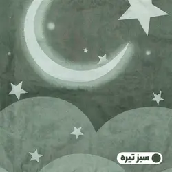 روبالشی آدنو مدل Crescent کد CH22 بسته 2 عددی | فروشگاه اینترنتی آدنو