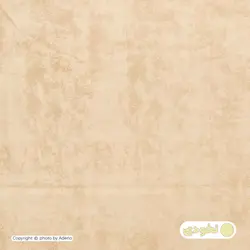 روبالشی آدنو مدل پتینه کد IR131 بسته 2 عددی | فروشگاه اینترنتی آدنو