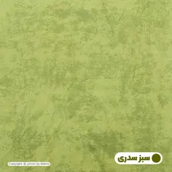 روبالشی آدنو مدل پتینه کد IR131 بسته 2 عددی | فروشگاه اینترنتی آدنو