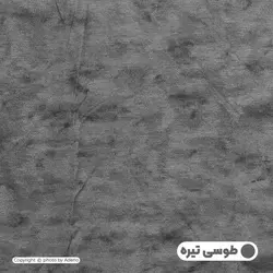 روبالشی آدنو مدل پتینه کد IR131 بسته 2 عددی | فروشگاه اینترنتی آدنو