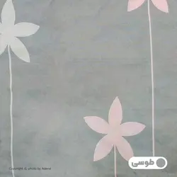 روبالشی آدنو مدل Spinner کد IR56 بسته 2 عددی | فروشگاه اینترنتی آدنو
