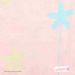 روبالشی آدنو مدل Spinner کد IR56 بسته 2 عددی | فروشگاه اینترنتی آدنو