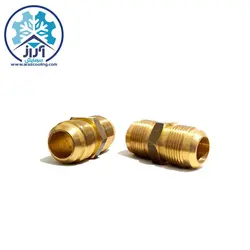 اورفیس (مغزی) 3.4