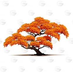 وکتور درخت بونسای پاییزی کد 119