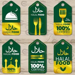 وکتور مجموعه برچسب حلال مواد غذایی کد 035