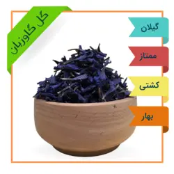 گل گاوزبان ممتاز برداشت بهار 1401