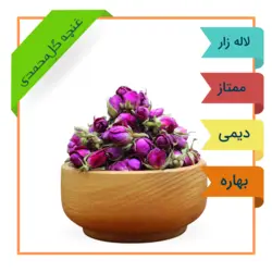 غنچه گل محمدی ممتاز لاله زار برداشت 1401 درشت و قرمز