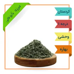مرزه کوهی (آویشن سوزنی) وحشی کردستان برداشت 1401