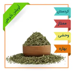 آویشن کوهی وحشی کوه های کردستان برداشت امسال 1401