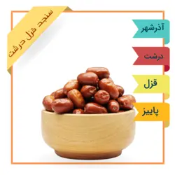 سنجد قزل درشت صادراتی