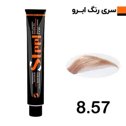 رنگ ابرو بلوند بژ روشن استیل شماره 8.57
