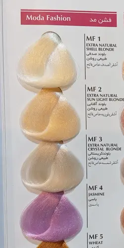 رنگ مو مشکی پر کلاغی استیل شماره 1.1
