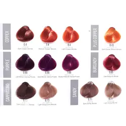 رنگ مو سوپر پلاتینه شامپاینی سلتون پلاس شماره 11.70