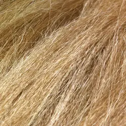 کله مانکن نیم تنه مخصوص شینیون و بافت