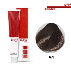 رنگ مو دنی وان سری دودی کد 6.1 بلوند دودی تیره حجم 100 میلی لیتر