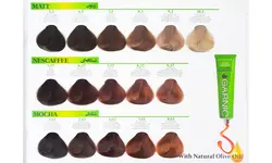 رنگ مو گارنیک بلوند زیتونی پلاتینه شماره 10.3 GARNIC