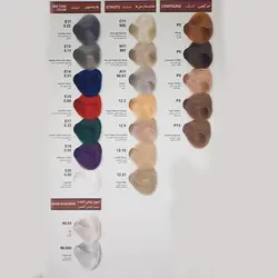 رنگ مو والانسی سوپر یخی شماره 90.000