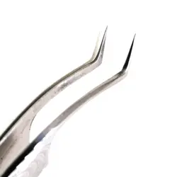 پنس کاشت مژه حرفه ای ناوینا مدل مرغابی