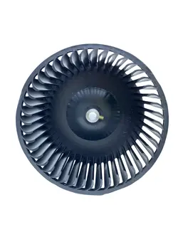 بلوور اوجنرال - ایران پارت لند