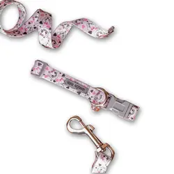 ست قلاده گردنی+لید طرح Catdog مانا ارغوان