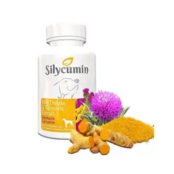 مکمل درمانی برای بیماری کبد و کلیه سگ های نژاد بزرگ بیو پت اکتیو مدل Silycumin 67.5 Mg