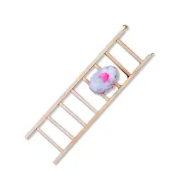 نردبان پرندگان مانا ارغوان