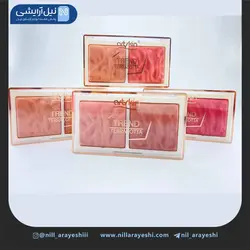 پالت هایلایتر و رژگونه سنگی آرت اسکین کد As976109