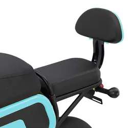 اسکوتر برقی مدل Nescooter Ge