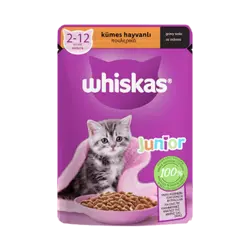 پوچ بچه گربه ویسکاس طیور در سس 85 گرم ا Whiskas junior With Chicken 85g - رویال پت فود