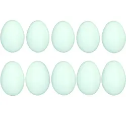 تخم مرغ پلاستیکی