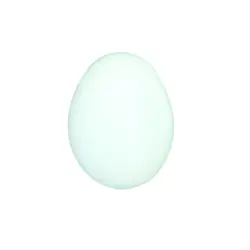 تخم مرغ پلاستیکی