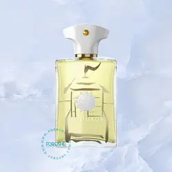 عطر ادکلن آمواج بیچ هات مردانه