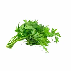 بذر سبزی جعفری اصلاح شده 20 گرمی - کیمیاکشت