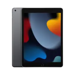 تبلت اپل iPad 9th 2021 wifi 10.2 inch | حافظه 256 گیگابایت