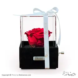 موزیکال باکس هری‌پاتر مدل رزیتا - روبینا رز