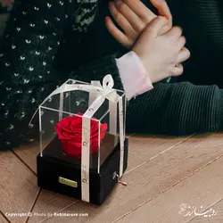 موزیکال باکس تولدت مبارک هندلی