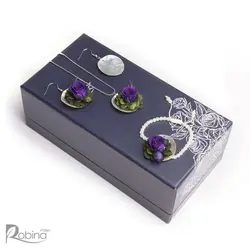 سرویس کاملیا کلاس دیانا