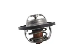 ترموستات 206 و ال90 (89درجه) با اورینگ-بالتین