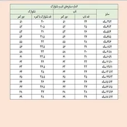 کراپ تاپ دخترانه مدل زیپ دار یوز کد 708