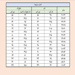 ست کراپ تاپ و شلوارک ورزشی زنانه مدل یوز زیپ‌دار کد 105