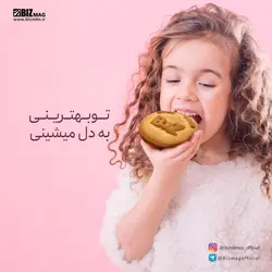 کلوچه نارگیلی حاوی بابونه دکتر بیز (40 جفتی)