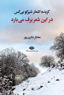 در این شعر برف می‌بارد