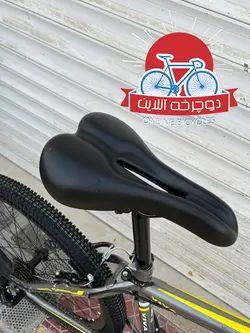دوچرخه کوهستان ویوا Viva سایز 24